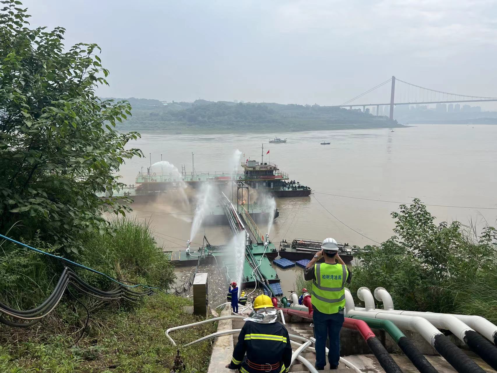 1719368488592073.jpg 3.jpg